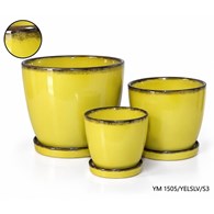 KOMPLET DONIC + PODSTAWKI S3 (YELSLV)