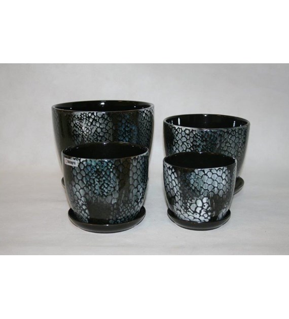 KOMPLET DONIC + PODSTAWKI S4