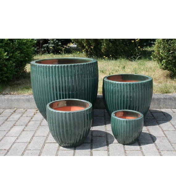 KOMPLET DONIC  S4 (DGN)