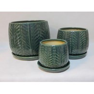 KOMPLET DONIC (BTGN) S3