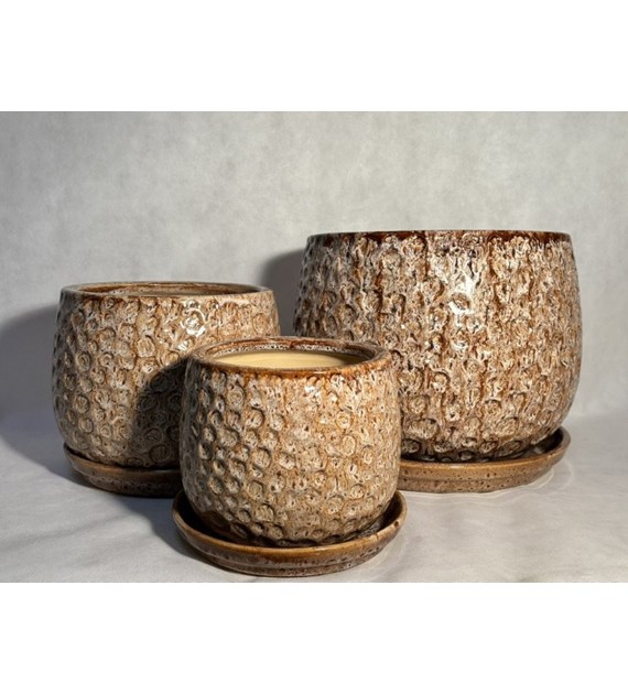 KOMPLET DONIC (CP) S3