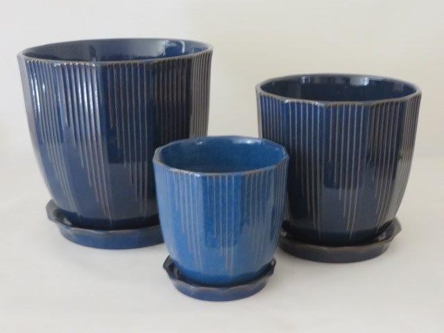 KOMPLET DONIC + PODSTAWKI (BL) S3