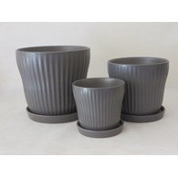 KOMPLET DONIC + PODSTAWKI S3