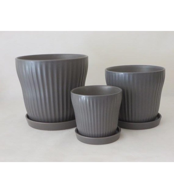 KOMPLET DONIC + PODSTAWKI S3