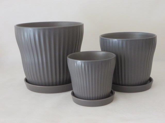 KOMPLET DONIC + PODSTAWKI S3