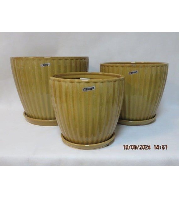 KOMPLET DONIC + PODSTAWKI S3 (HNL)