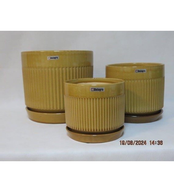 KOMPLET DONIC + PODSTAWKIS3 (HN)