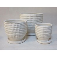 KOMPLET DONIC + PODSTAWKI S3 (WM)