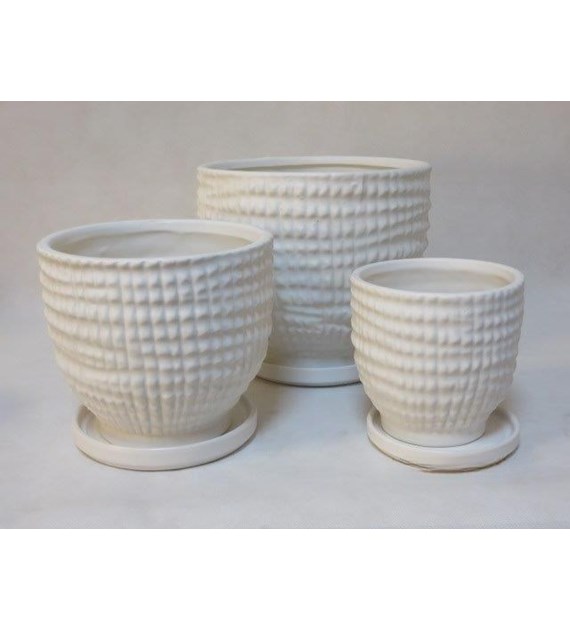 KOMPLET DONIC + PODSTAWKI S3 (WM)