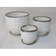 KOMPLET DONIC + PODSTAWKI S3 (W SLV)