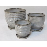 KOMPLET DONIC + PODSTAWKI S3 (RLGRY)