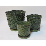 KOMPLET DONIC + PODSTAWKI S3 (FGRN)