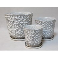 KOMPLET DONIC + PODSTAWKI S3 (RWSH)