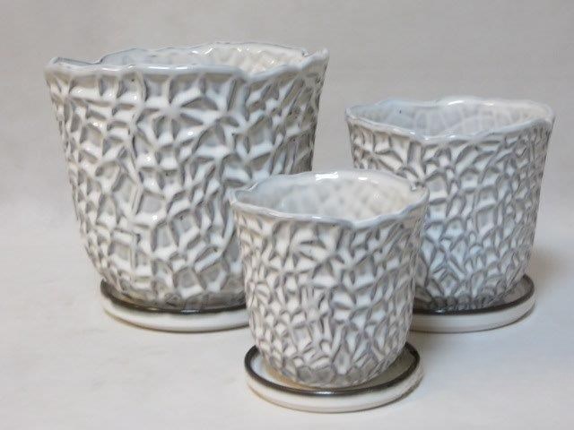 KOMPLET DONIC + PODSTAWKI S3 (RWSH)