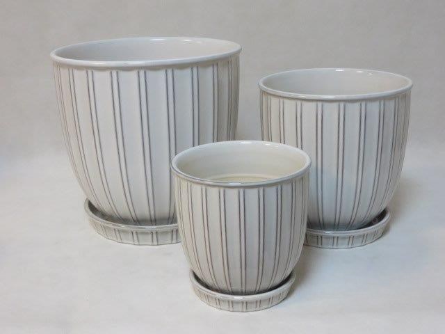 KOMPLET DONIC + PODSTAWKI S3  (RWSH)