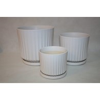 KOMPLET 2 DONIC + PODSTAWKI S2 (WM) [2,3]