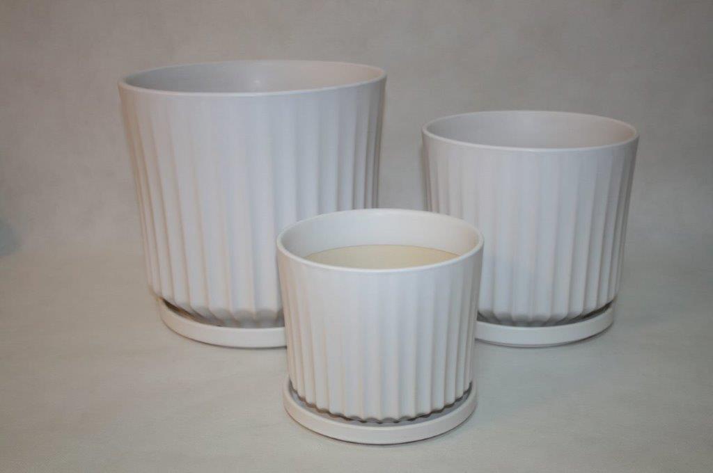 KOMPLET 2 DONIC + PODSTAWKI S2 (WM) [2,3]