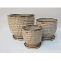 KOMPLET 2 DONIC + PODSTAWKI S2 (RLBR) [2,3]