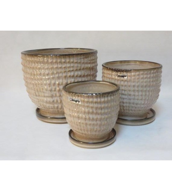 KOMPLET 2 DONIC + PODSTAWKI S2 (RLBR) [2,3]