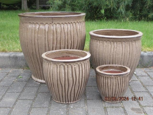 1 DONICA S1 (CP) [4]