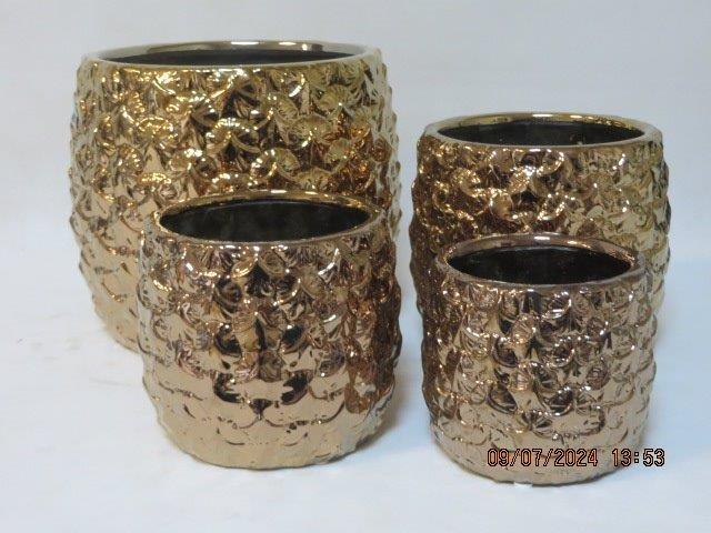 1 OSŁONKA (GLD) [3]