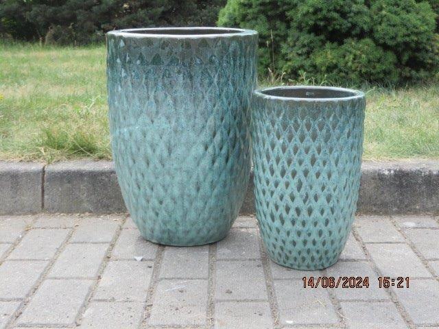 1 DONICA S1 (MS GN) [2]