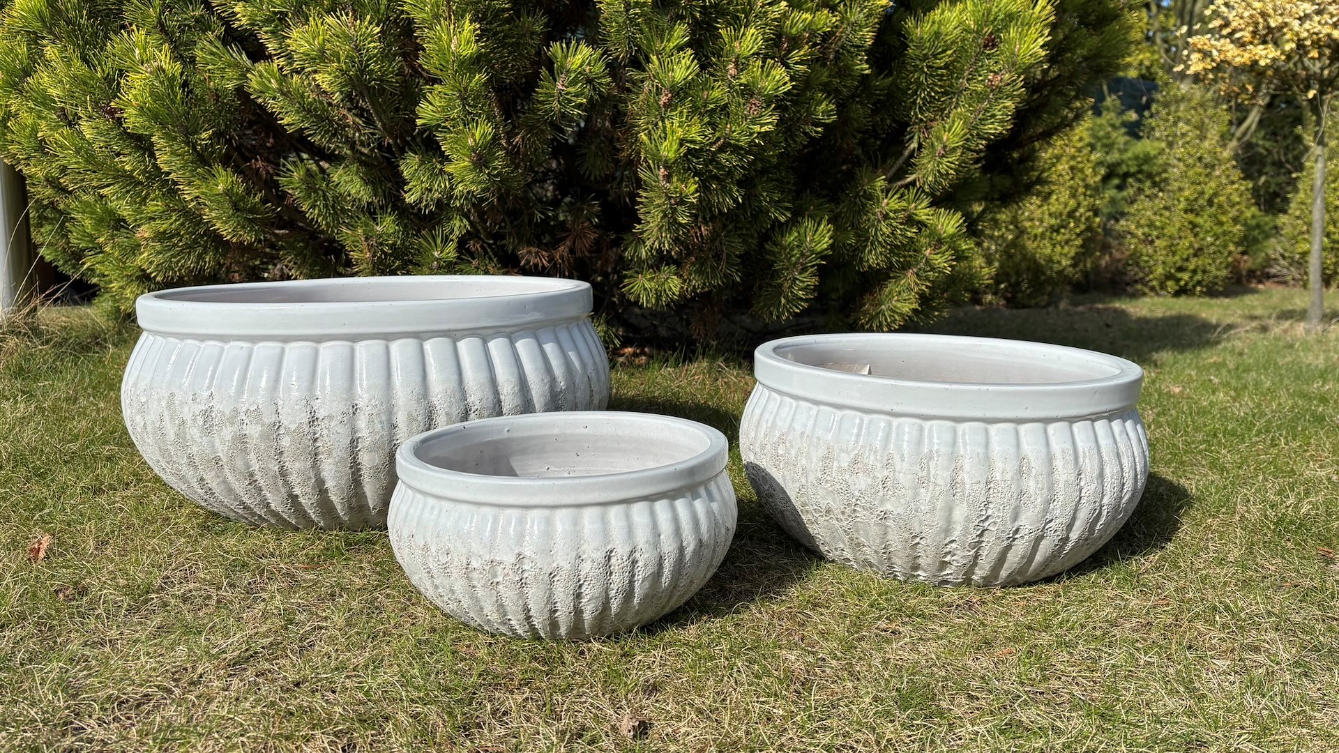 KOMPLET DONIC S3 (LVWH)