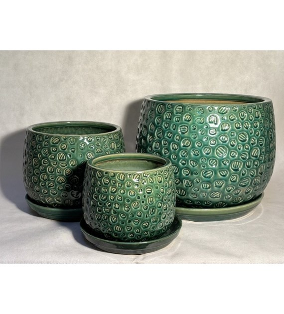 KOMPLET DONIC (BTGN) S3