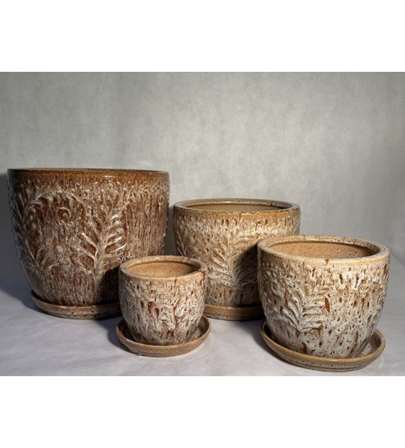 KOMPLET DONIC (CP) S4