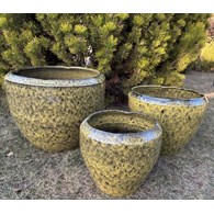 KOMPLET DONIC  S3  (RY)