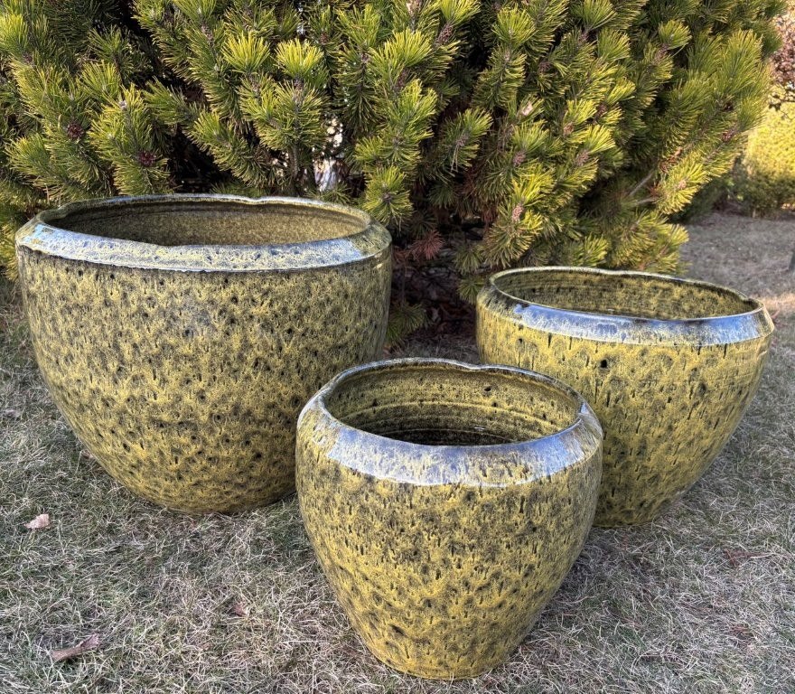 KOMPLET DONIC  S3  (RY)