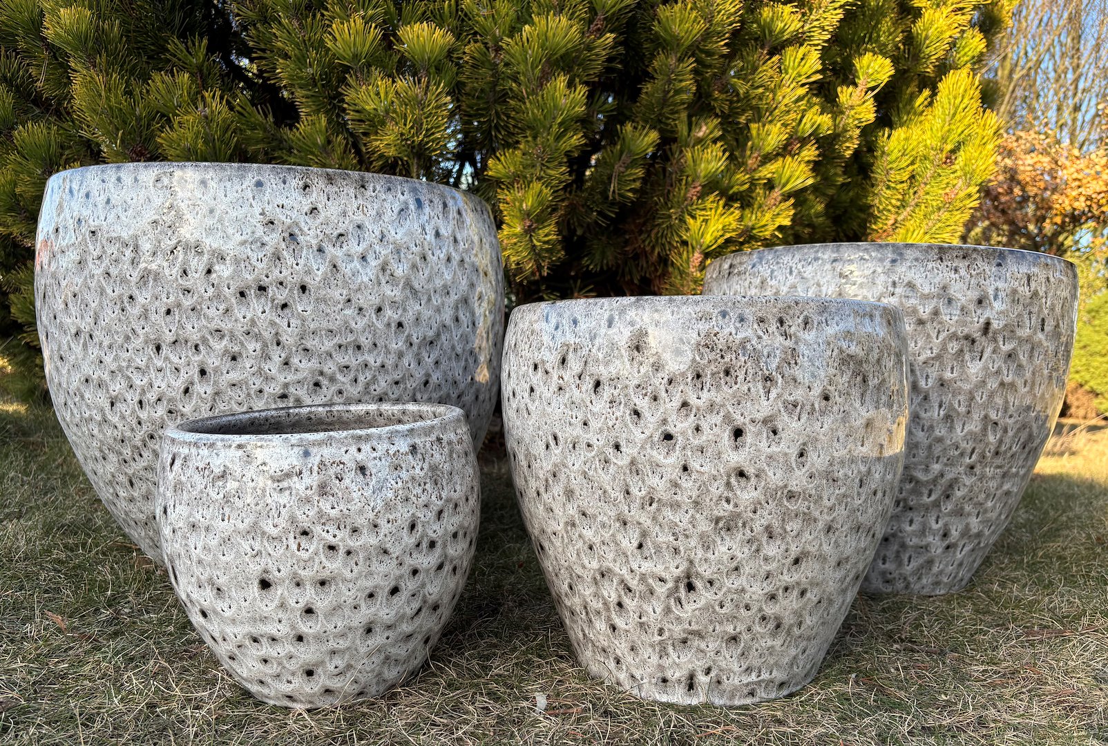 KOMPLET DONIC  S4  (RCL)