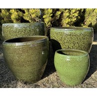 KOMPLET DONIC  S4  (PGN)