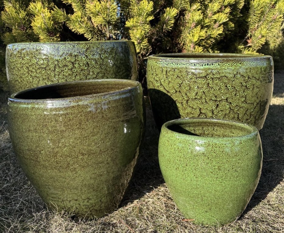 KOMPLET DONIC  S4  (PGN)