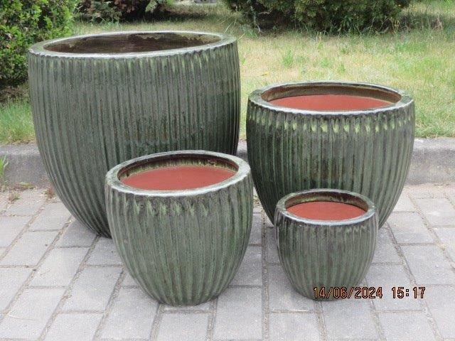 KOMPLET DONIC S4 (MSGN)