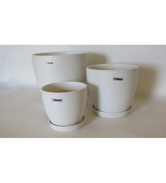 KOMPLET DONIC + PODSTAWKI S3 (WM)