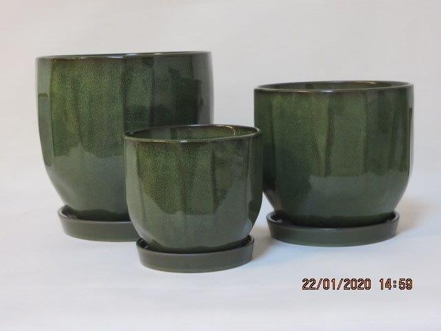 KOMPLET DONIC + PODSTAWKI (FGRN)